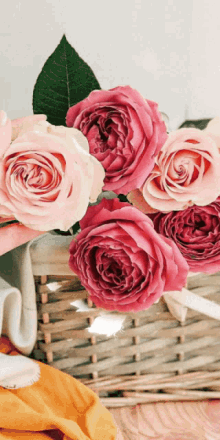 Pinkrose57 Pink Rose5 GIF - Pinkrose57 Pink Rose5 Rose75 GIFs