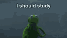 Meme Kermit GIF - Meme Kermit I Should Study GIFs