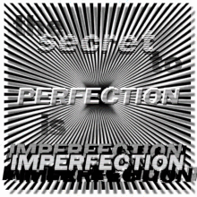 Perfection Imperfection GIF - Perfection Imperfection Secret GIFs