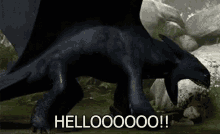 Hello Toothless GIF - Hello Toothless Hiccup GIFs