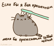 пушин какая прелесть мило кот милый хорошо GIF - Kakaya Prelest Milo GIFs