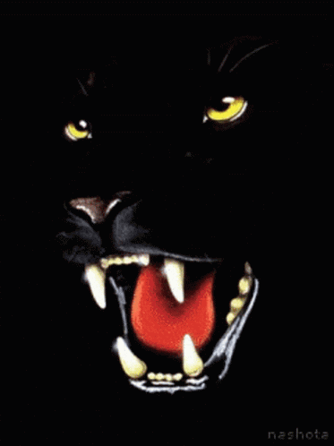 panther roar