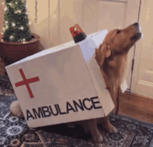 Dog Emergency GIF - Dog Emergency Ambulance GIFs