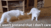 I Won'T Pretend That I Don'T Care Tian Tian GIF