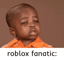Roblox Fanatic Roblox GIF