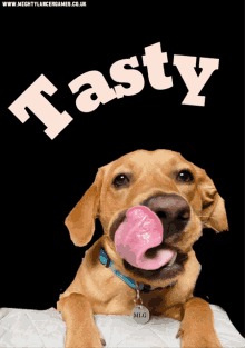Mighty Lancer Games Mighty Lancer Puppy GIF - Mighty Lancer Games Mighty Lancer Puppy Tasty GIFs