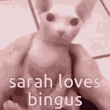Sarah Sarah Loves Bingus GIF - Sarah Sarah Loves Bingus Sarah Do The Woah GIFs