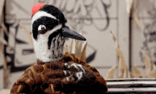 a stuffed bird is standing in front of a sign that says ' acorn '