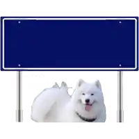 a white dog is standing under a blue sign that says utrecht