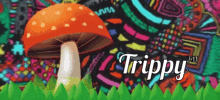 Trippy Mushroom GIF - Trippy Mushroom Psychedelic GIFs