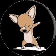 Lil Chihuahua GIF - Lil Chihuahua GIFs