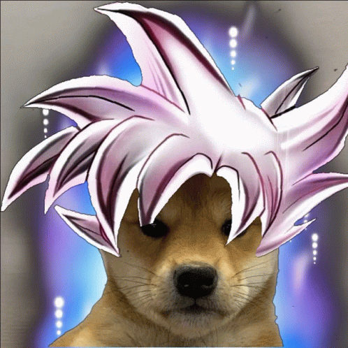 Ultra Instinct Doge GIF - Ultra Instinct Doge - Discover & Share GIFs