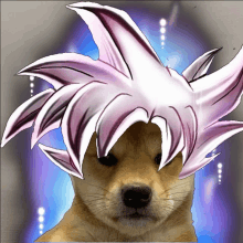 Ultra Instinct Doge GIF - Ultra Instinct Doge GIFs
