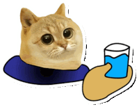 Catcoin Crypto Sticker - Catcoin Crypto Cat Memes Stickers