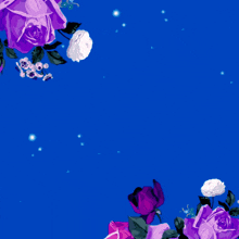 a blue background with purple roses and the words " i 'm sorry " in pink