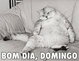 Gato, Bom Dia Domingo, Comeu Muito, Cheio, Cansado, Preguiça GIF - Goodmorningsundays Full Cat - Discover & Share GIFs Gato, Bom Dia Domingo, Comeu Muito, Cheio, Cansado, Preguiça GIF - Goodmorningsundays Full Cat - Discover & Share GIFs