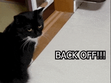 a black cat standing next to a sign that says " back off "
