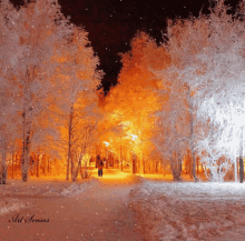 Snow Trees GIF - Snow Trees Winter GIFs