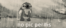 No Pic Perms Discord Pic Perm GIF