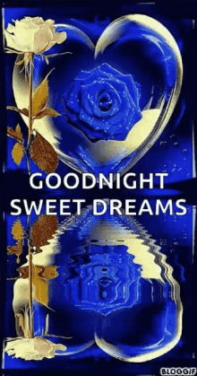goodnight sweet dreams hearts blue flowers