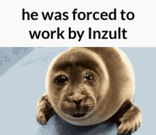 inzult he was forced to work by inzult he was forced