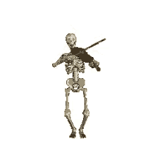 Skeleton Bones GIF