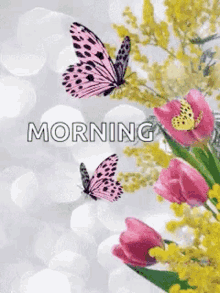 Good Morning Butterflies GIF - Good Morning Butterflies Flowers GIFs