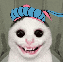 a white cat wearing a blue and pink turban on its head .