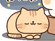 Cat Sticker - Cat Stickers