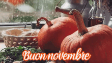 Novembre Buon Novembre Pioggia Zucca Autunno GIF - November Happy Nivember Rain GIFs