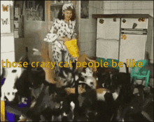 Love This Cat GIF - Love This Cat Crazy Cat People GIFs
