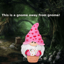 Gnome Memes Cute Gnomes GIF