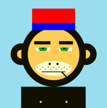 a monkey wearing a red blue and white hat
