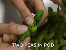 Toy Pea GIF - Toy Pea Peas GIFs