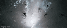 Kraven The Hunter Spiders GIF - Kraven The Hunter Spiders Sergei Kravinoff GIFs