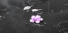 Anime Flower Purple GIF