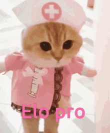 Elo Pro Elo GIF - Elo Pro Elo Elo Gamer GIFs