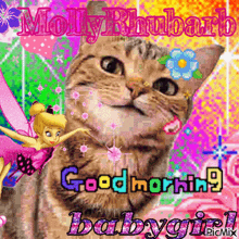 Molly Rhubarb Good Morning GIF - Molly Rhubarb Molly Rhubarb GIFs