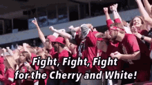 Temple Football Fans GIF - Temple Temple Football Temple University GIFs