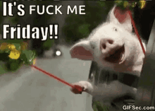 Friday Its Friday GIF - Friday Its Friday Pig GIFs