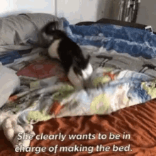 Funny Animals Bedtime GIF - Funny Animals Bedtime In Bed GIFs