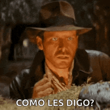 Indiana Jones Unsure GIF - Indiana Jones Unsure Thinking GIFs