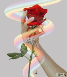Hand Rose GIF - Hand Rose GIFs