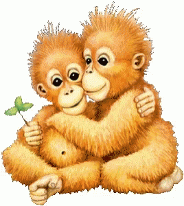 2 Monkeys Hugging GIFs | Tenor