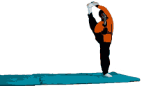 split flexible training gymnastics gymnasts