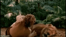 Lion Vs George Of The Jungle Tired GIF