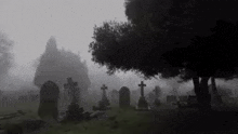 a cemetery in the fog with trees and graves