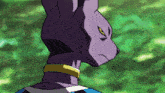 a close up of a purple cat with a yellow eye on a green background