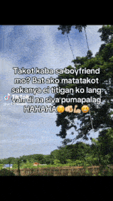 a screenshot of a tiktok video with a tree in the background