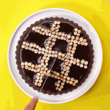 a white plate topped with a chocolate cake with hazelnuts on it